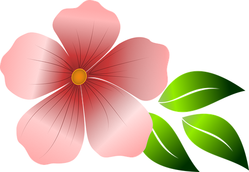 Flower, Pink Flower, Spring, Summer - Flores Rosadas Vectores Png (493x340)
