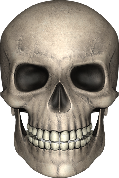 Skull Image 22, Buy Clip Art - Face Skull Png (479x720)