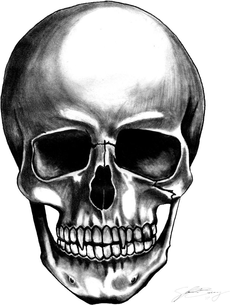 Skull Transparent Background (900x1080)