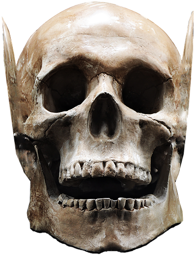 Skull Image 18, Buy Clip Art - Skull Isolated (509x720)