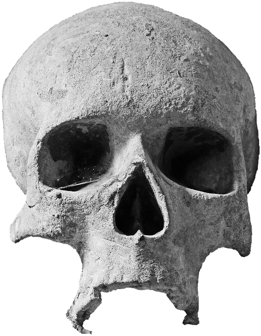 Skull Pics Download - Skull Head Png (831x720)