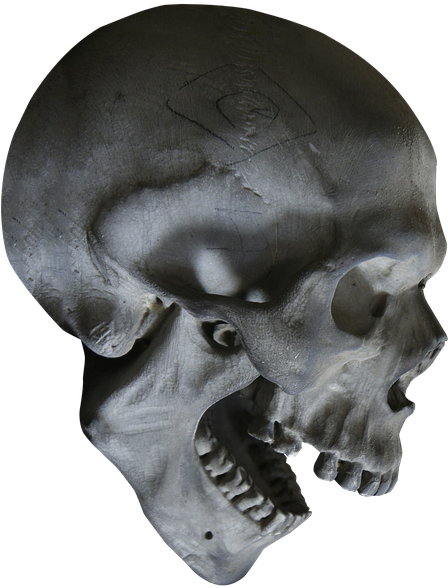 Skull Pics Download 9, Buy Clip Art - Skull (447x720)