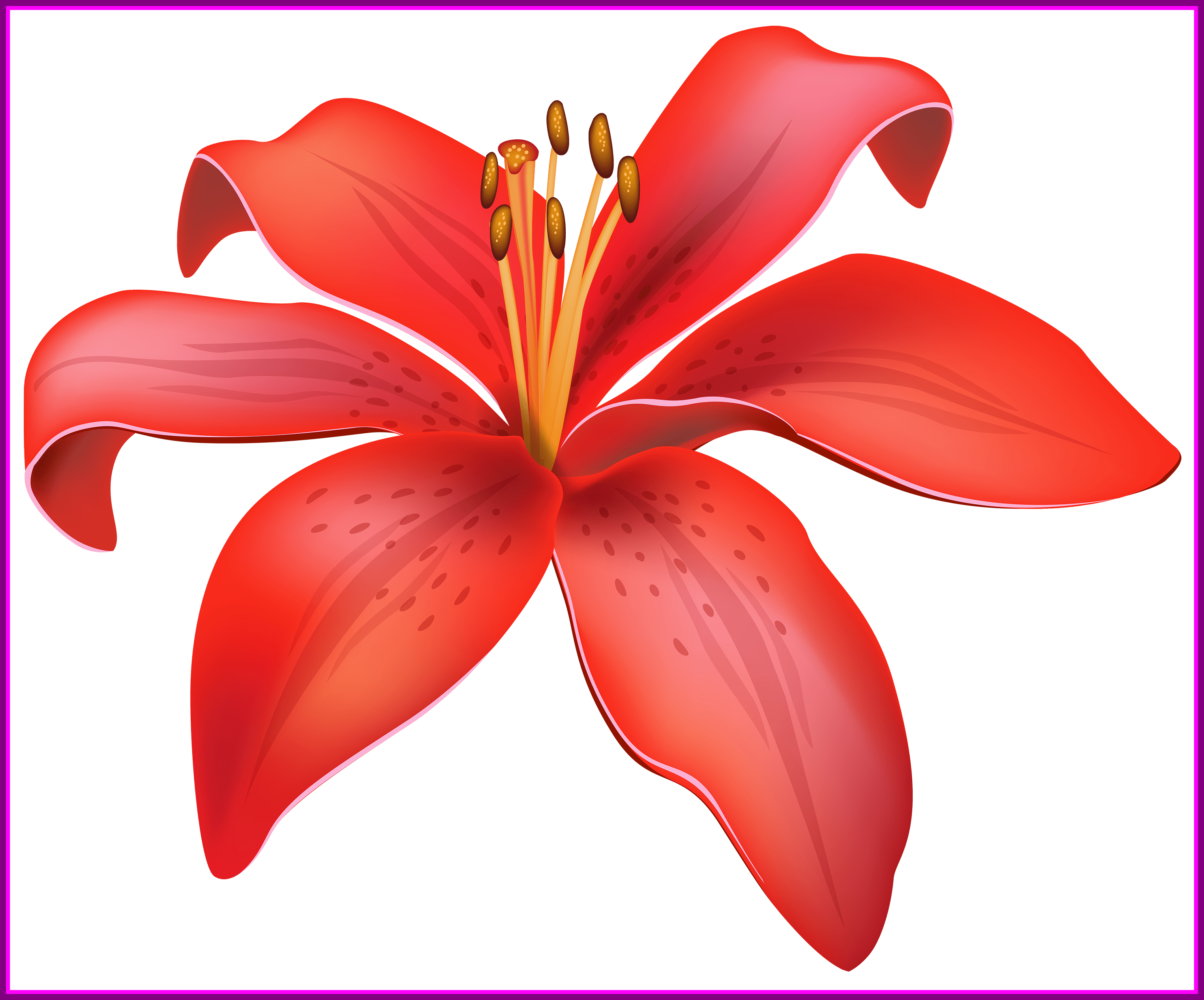 Unbelievable Pin By Muhammad Ali Ghauri On Floral Red - Lily Flower Png (3050x2534)