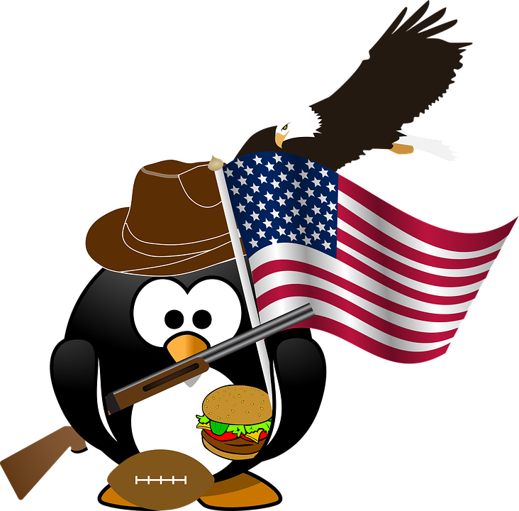 Penguin, Flag, Eagle, American, Patriotic, Burger, - Eagle With White Background (732x720)