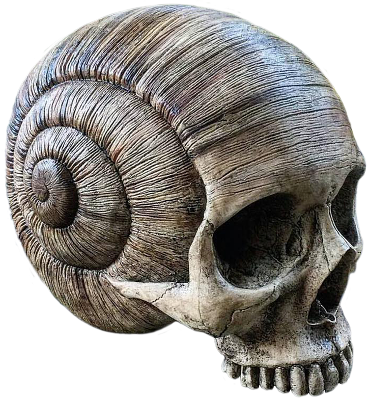 Skull 2, Buy Clip Art - Animal Bones And Skull Png (1280x850)