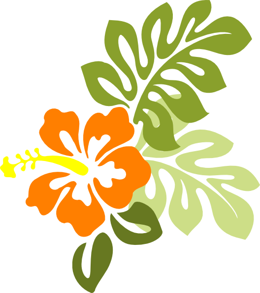 Orange Flower Clipart Hawaiian - Orange Hibiscus Flower Clipart (528x597)