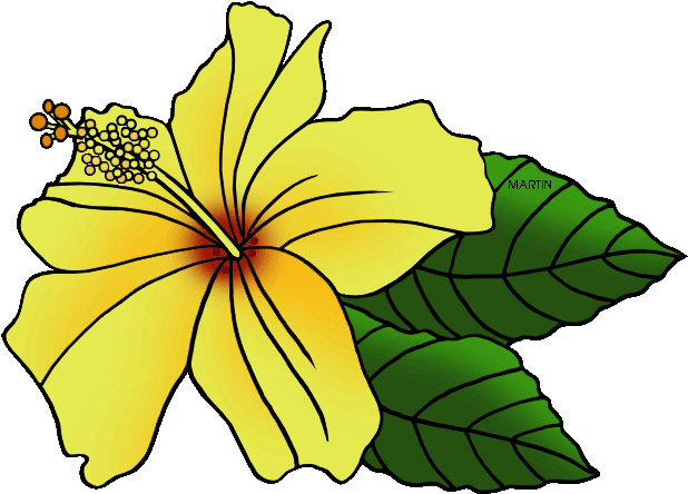 United Clip Art By Phillip Martin State Flower Hawaiian - Hawaii State Flower Clip Art (648x490)