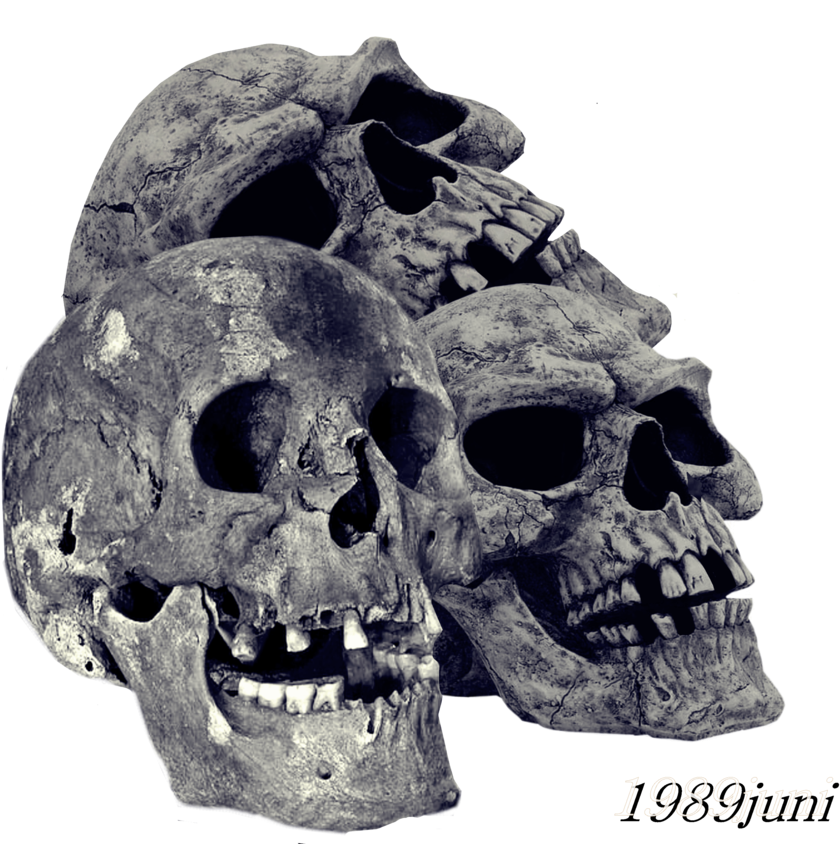Pile Of Skulls Png Transparent Image - Skulls Png (900x900)