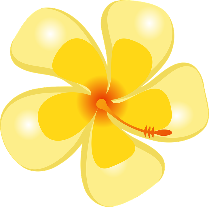 Hawaiian Flowers Clipart 16, Buy Clip Art - Flor Tropical Png Desenho (726x720)