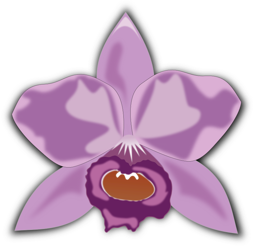 Purple Cattleya - Cattleya Clipart (500x500)