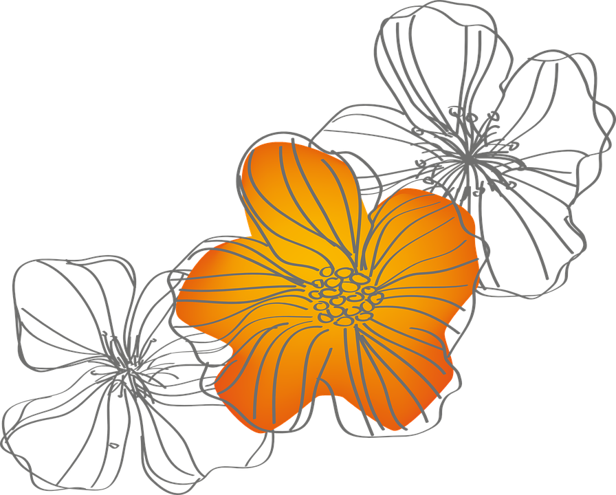 Hawaiian Flowers Cartoon 26, Buy Clip Art - Flora (896x720)