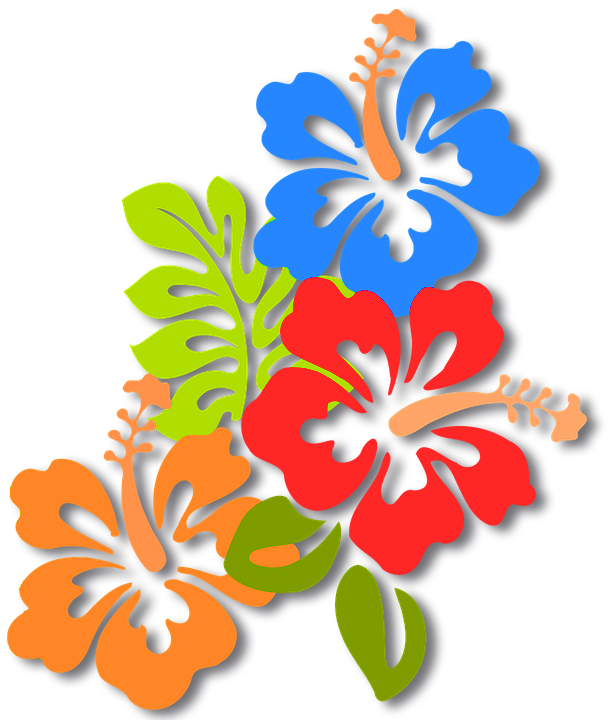 In That Case, It Was An Operator Of The Site - Hawaiian Hibiscus (614x720)
