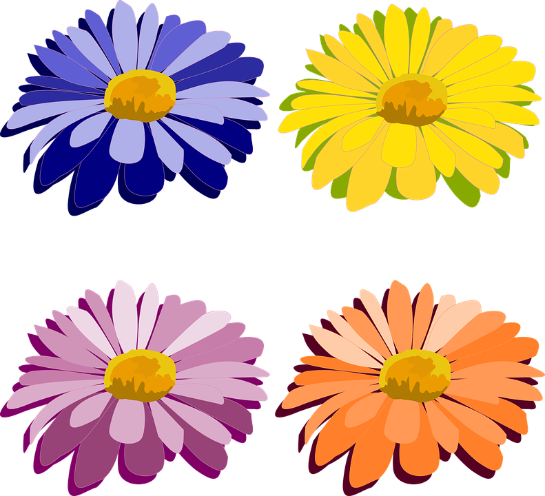 Hawaiian Flowers Clipart 28, - Blommor Clipart Gratis (791x720)