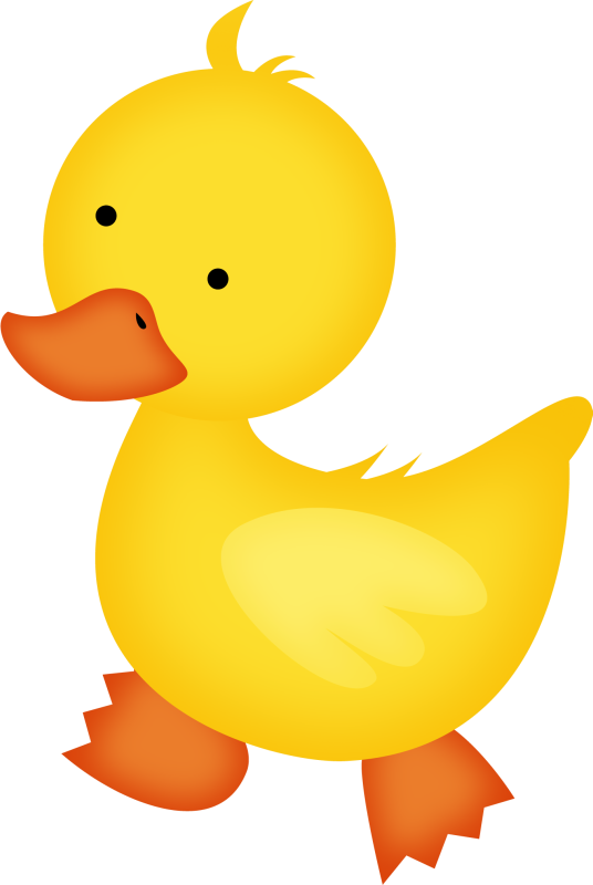Album - Baby Duck Clipart (536x800)