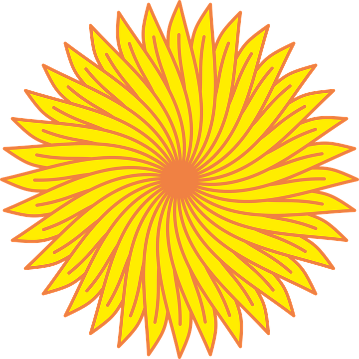 Sunflower Line Art 10, Buy Clip Art - Fraternal Order Of Police (720x720)