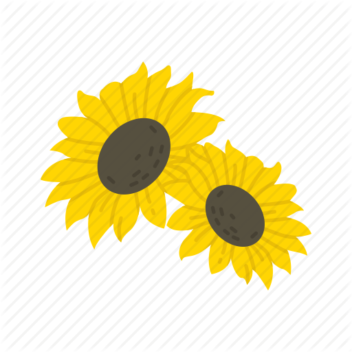Sunflower Icon In Flat Style Stock Vector - Sunflower Icon Png (512x512)