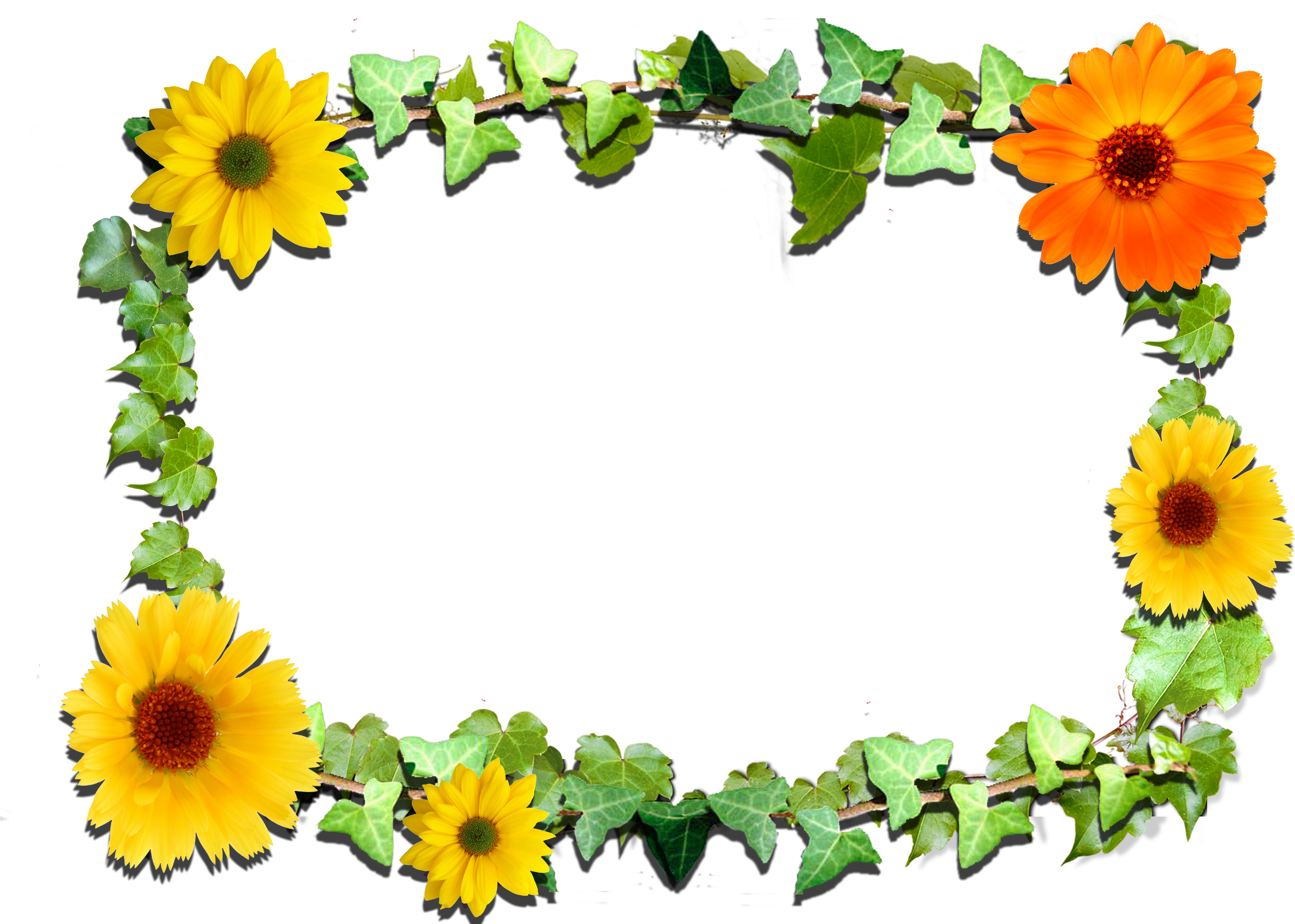 Related Clipart - Sunflower Frame Transparent (3510x2480)