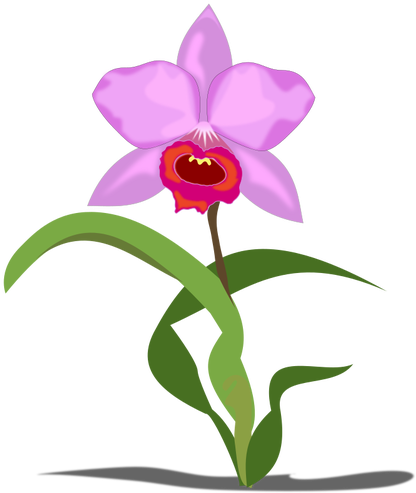 1626 Bloem Gratis Clipart - Orchid Flower Cartoon Png (500x500)