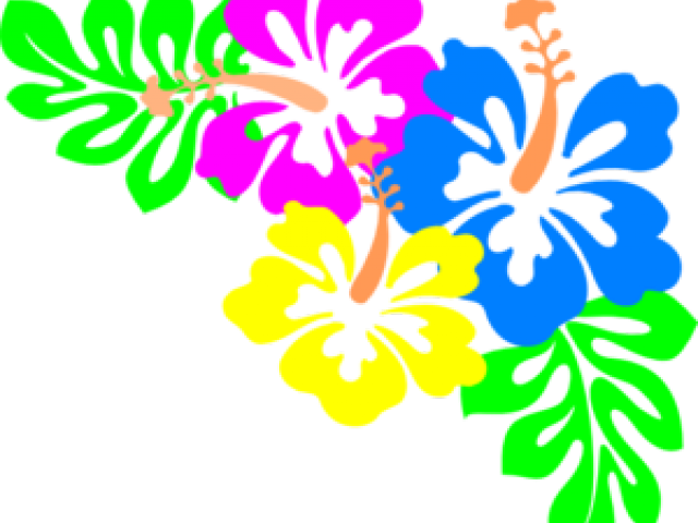 Hibiscus Clipart Rainbow - Hawaiian Flowers Border Png (640x480)