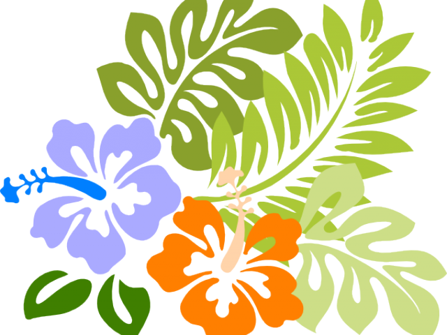 Hibiscus Clipart Tiki - Hawaiian Flower Clipart (640x480)