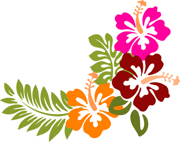 Hibiscus Clip Art - Hibiscus (600x473)