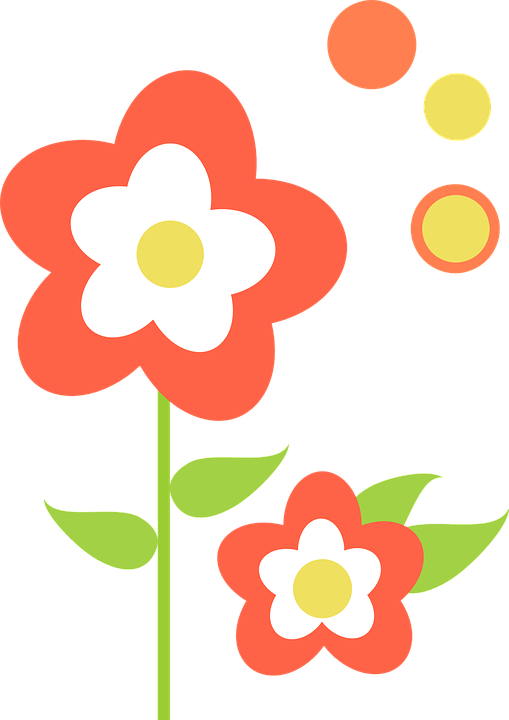 Orange Hibiscus Cliparts 26, - Flor Com Folha Png (509x720)