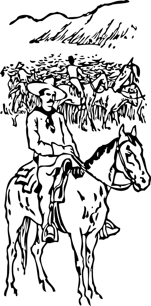 Cattle Drive - Cattle Drive Clipart (494x1000)