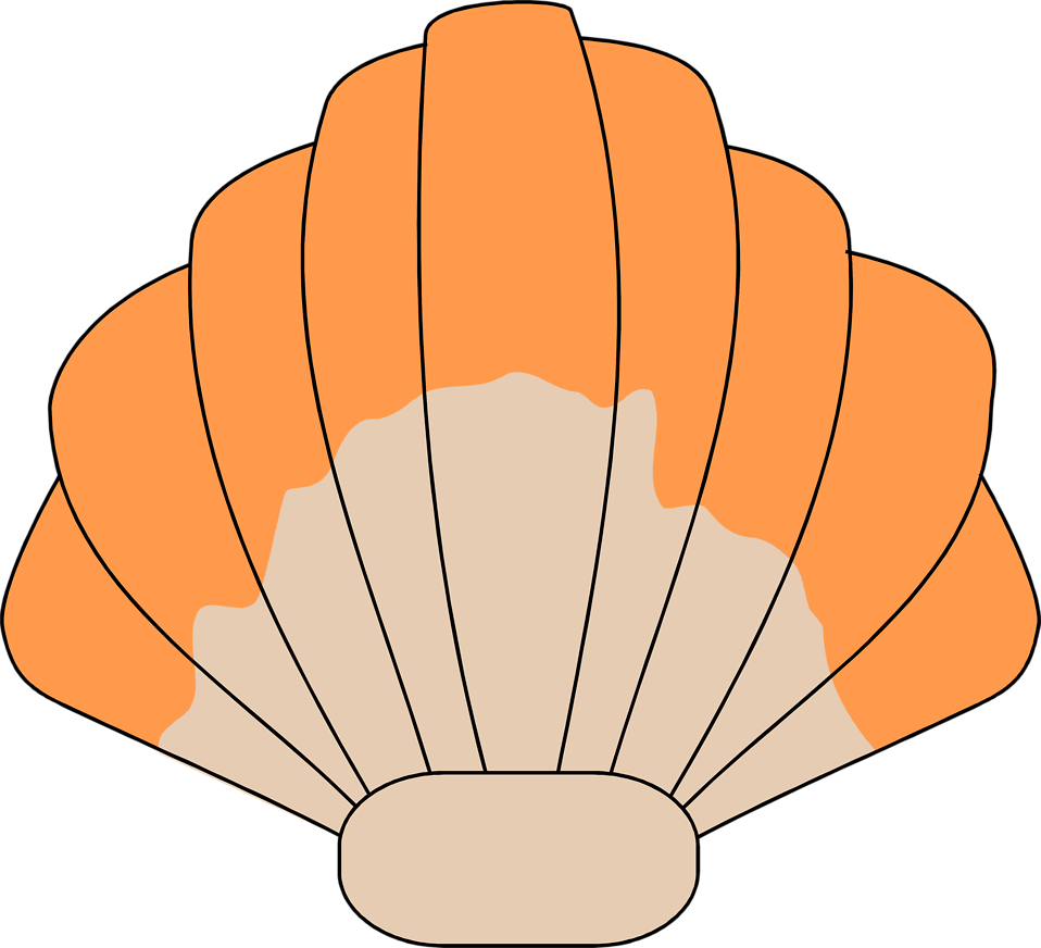 Orange Clipart Seashell Pencil And In Color Orange - Sea Shell Clip Art (958x872)