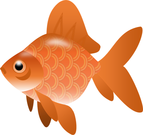 Ocean Clipart Orange Color - Fish Clip Art Png Transparent (592x559)