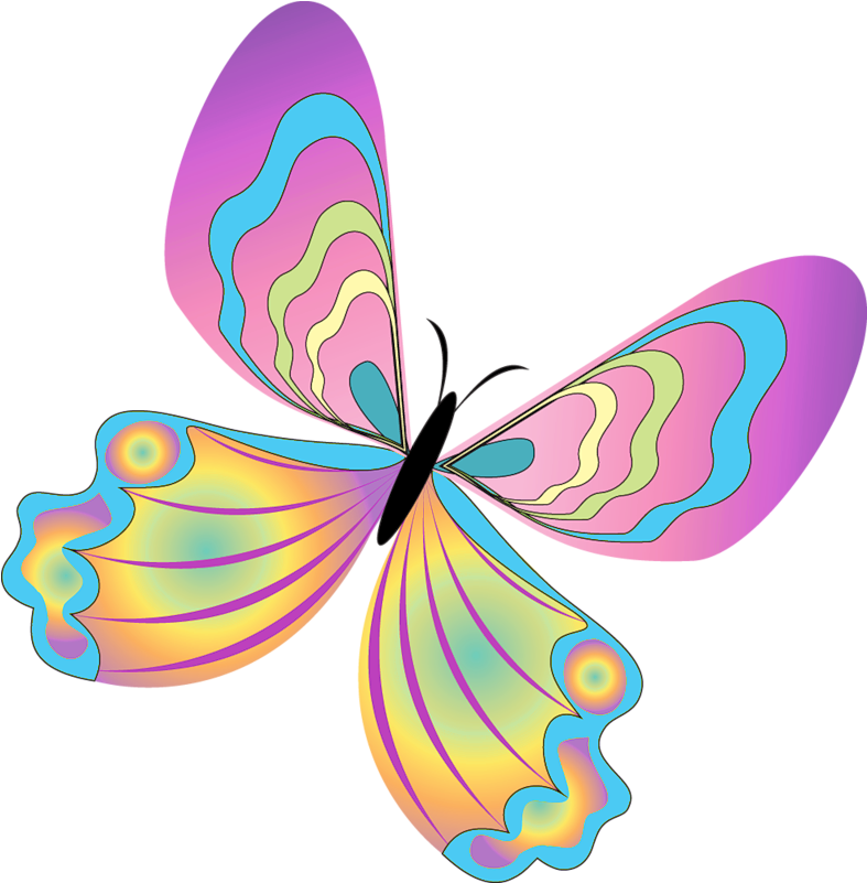 Png Clip Art Free Download Funny Butterfly Pictures - Cute Butterfly Png (798x813)