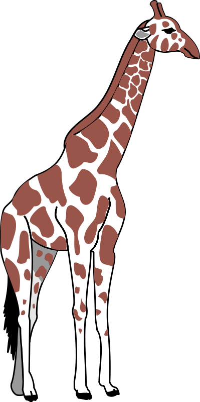 Giraffe Clip Art Royalty Free Animal - Giraffe Iphone 6 Tough Case (399x800)