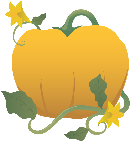 Pumpkin On A Vine Clipart (520x561)