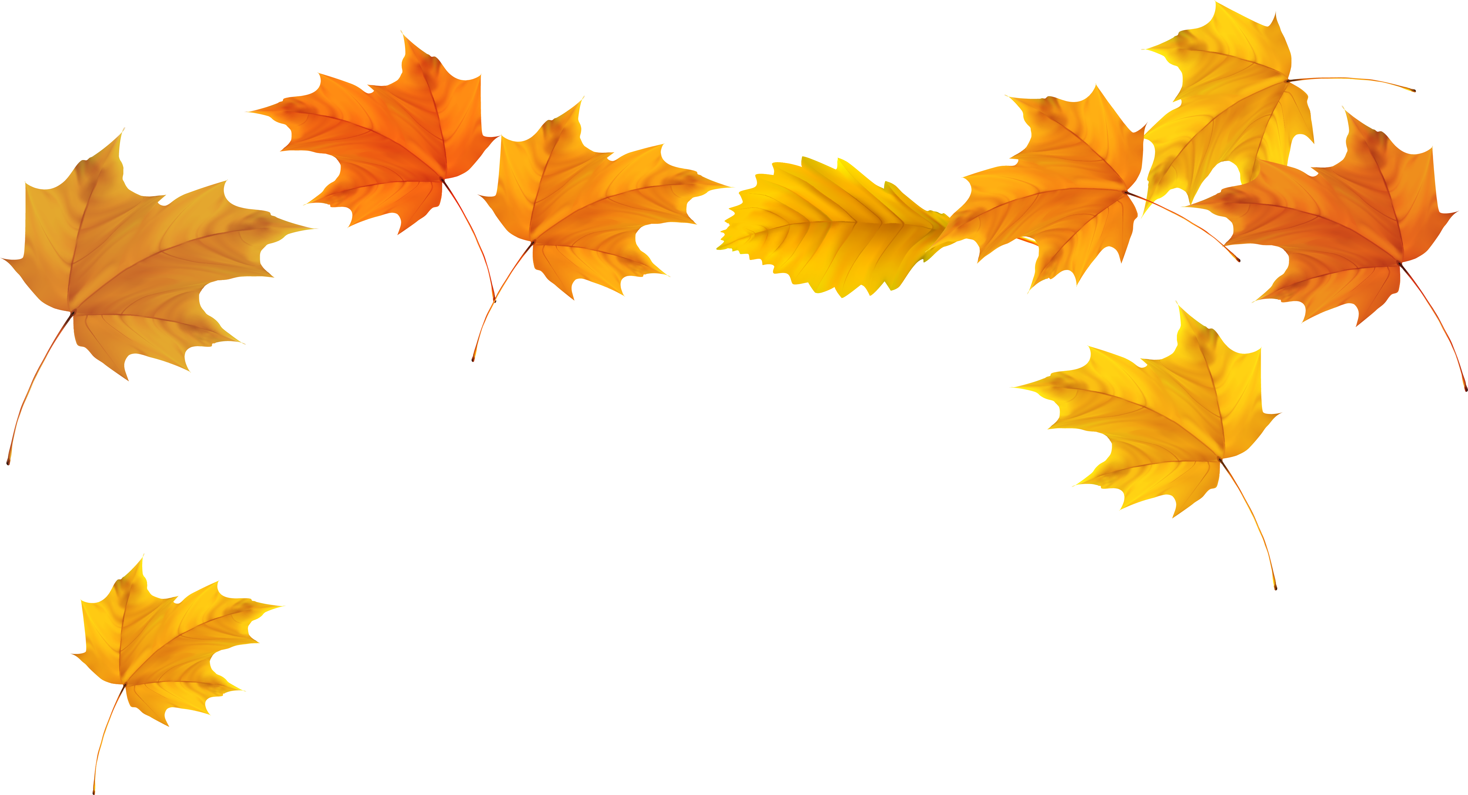 Fall Clip Art - Fall Leaves Transparent Background (5094x2822)