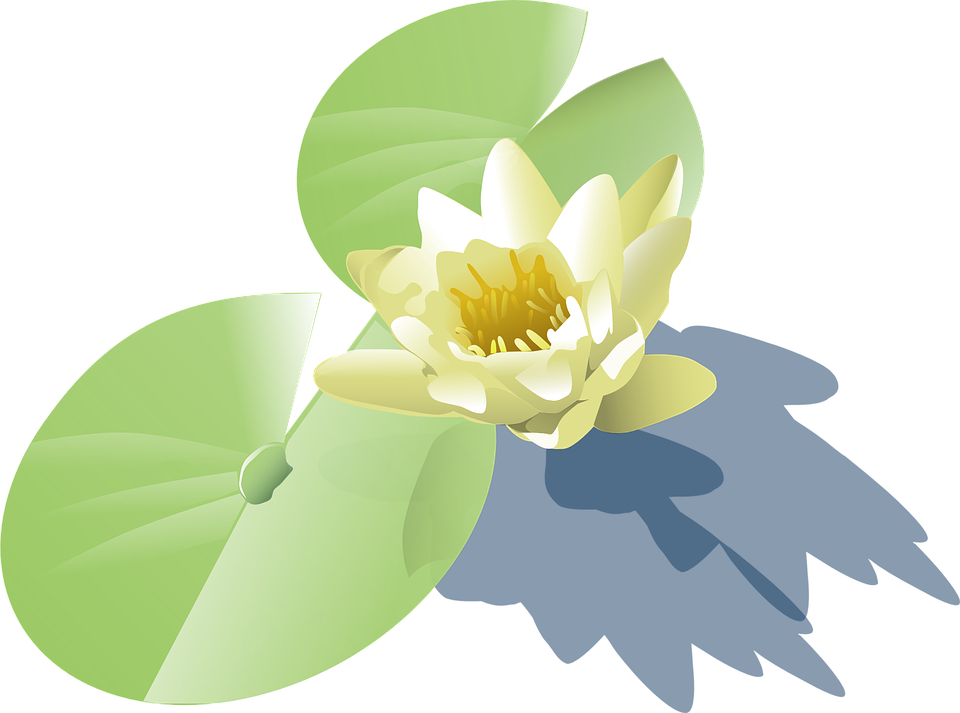 Lily Pad Clipart Lotus Plant - Lily Pad Clip Art (1280x951)
