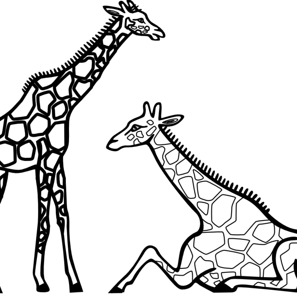 Giraffe Clipart Black And White Giraffe Clipart Black - Giraffe Colouring Page (1024x1024)
