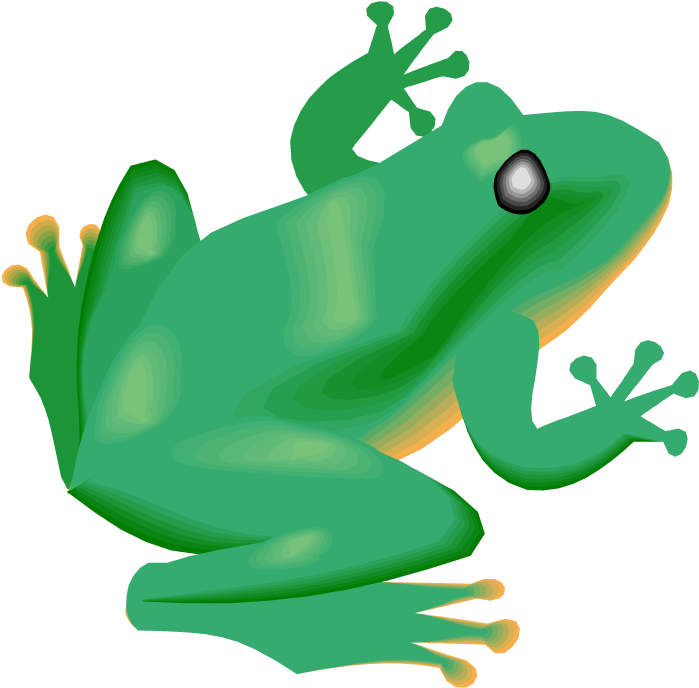 Animal On Rainforest Clipart (750x744)