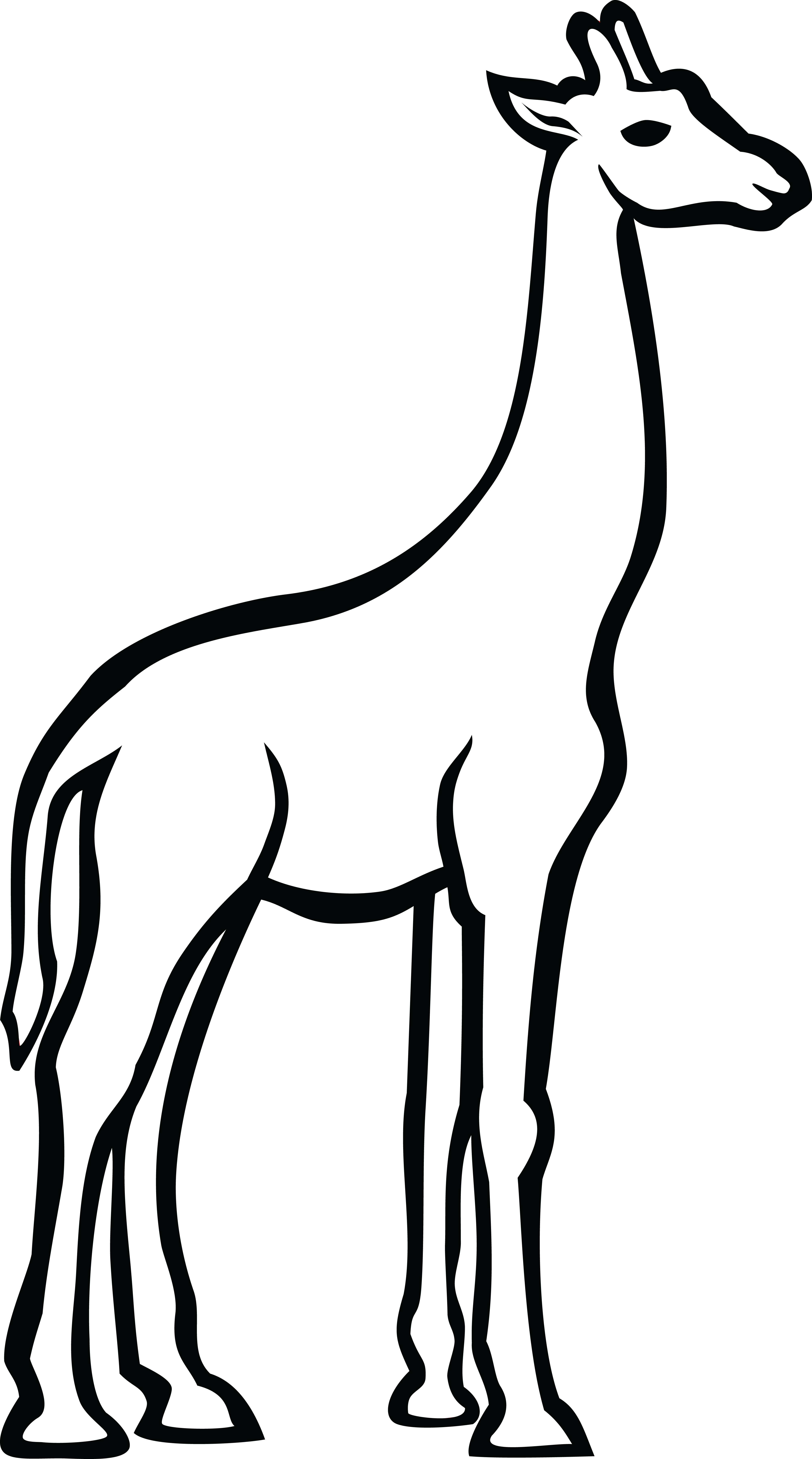 Free Clipart Of A Giraffe - Black And White Line Drawing Giraffe Png (4000x7188)