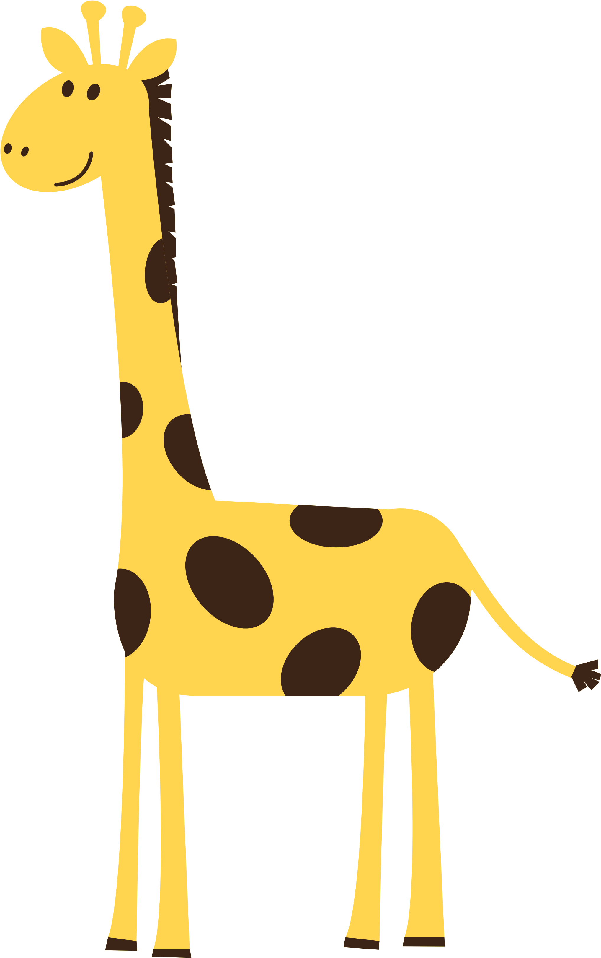 Giraffe Clip Art - Giraffe Whats Up Shower Curtain (3333x3333)