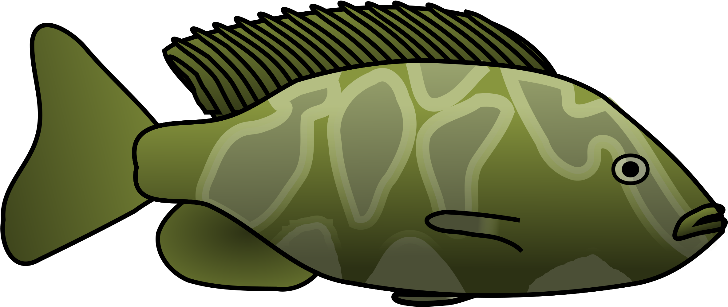 Giraffe Cichlid - Clipart Fish In Lake (2400x1200)