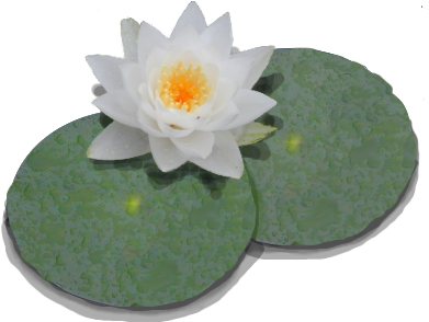 Lily Pad Template 9, Buy Clip Art - Lily Pond (400x400)