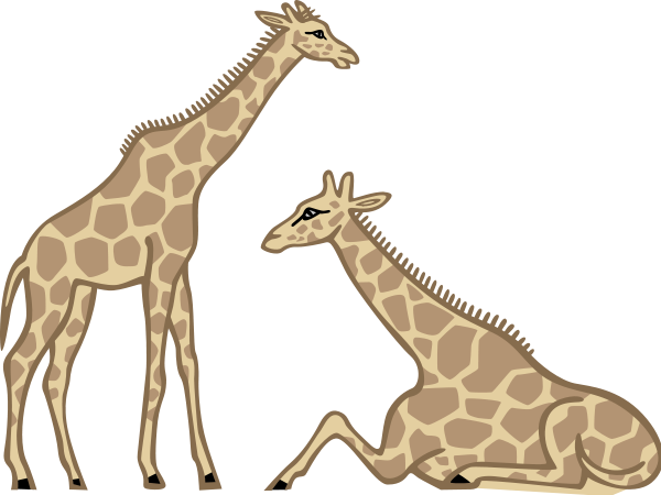 Giraffes Png Images - Giraffe Sitting Clip Art (600x450)