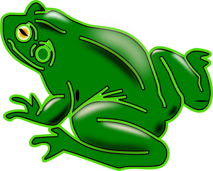 Frog On Lily Pad Clipart 21, - Animales Verde (898x720)