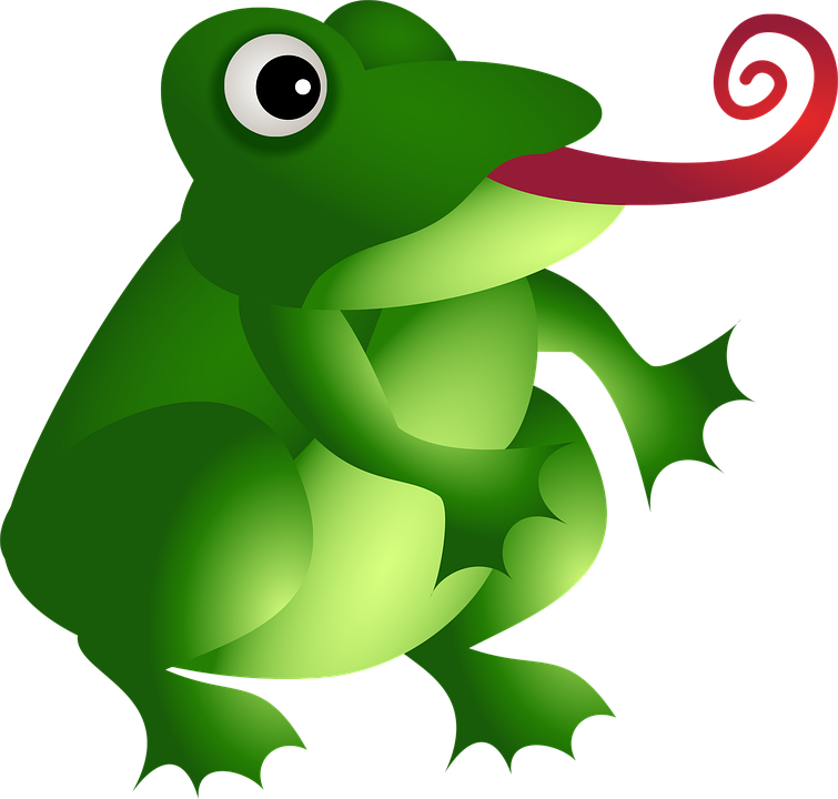 Frog On Lily Pad Clipart 10, - Dibujo De Un Anfibio A Color (755x720)