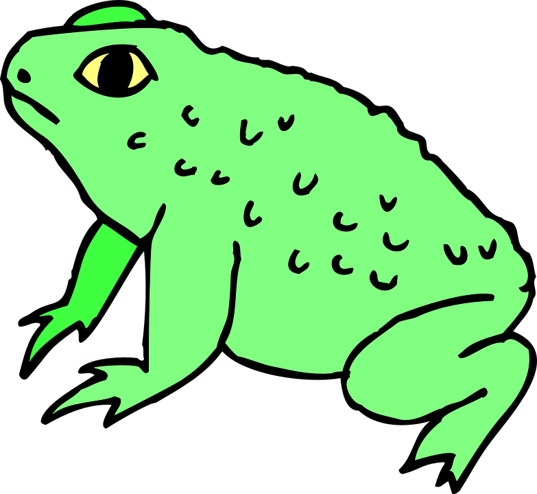 Frog On Lily Pad Clipart 19, - Clipart Of A Toad (783x720)