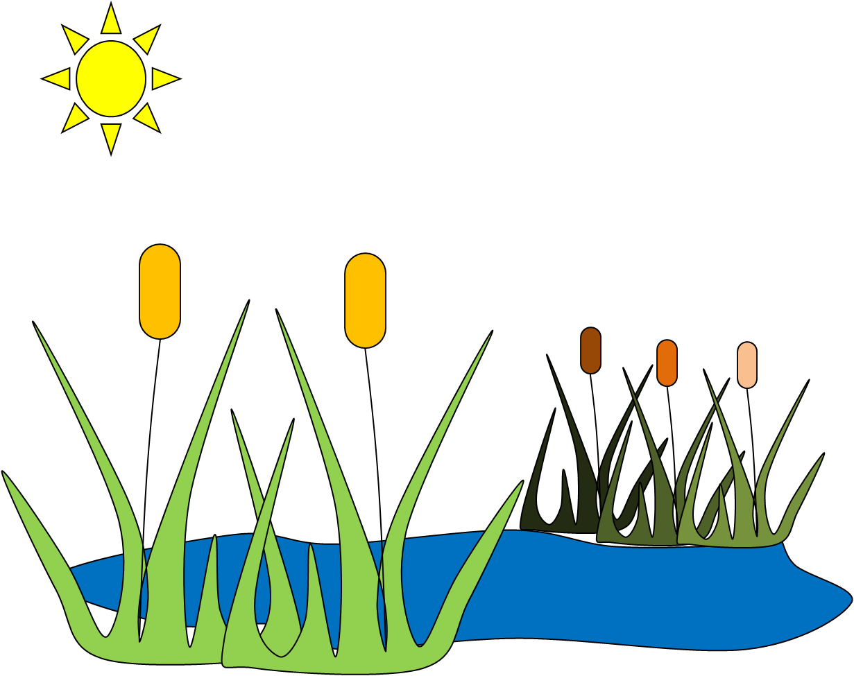 Fish Pond Clip Art - Pond Clip Art (1231x975)