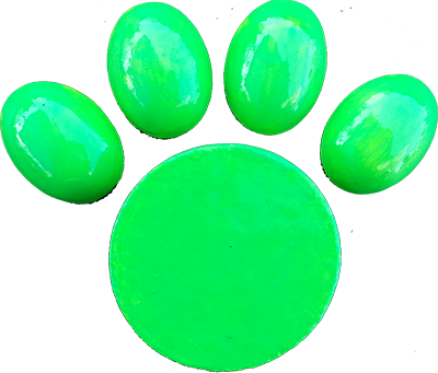 Lg Gp Paw Print - Glow In The Dark Paw Prints (400x341)