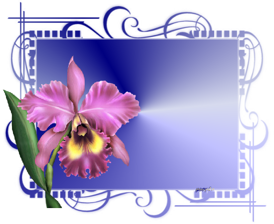 Tubes Cadres - Photofiltre Free Mask (550x450)