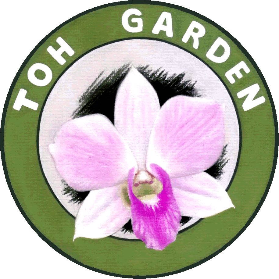 Toh Garden (915x915)