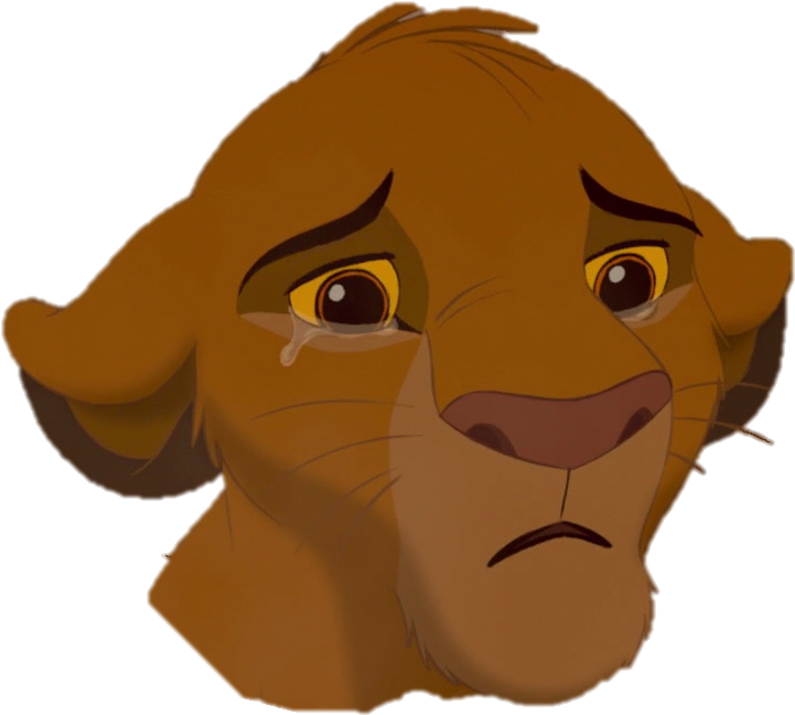 Simba Sad - Lion King Simba Sad (816x742)