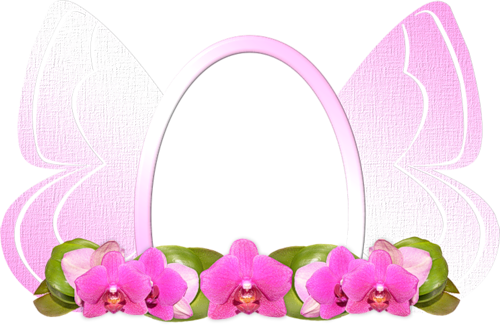 Partager - - Phalaenopsis Sanderiana (500x325)